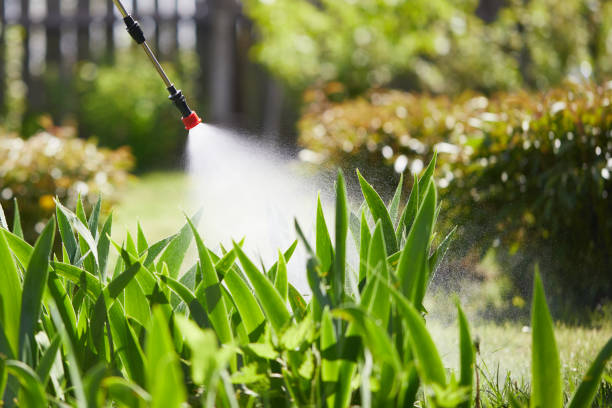 24/7 Emergency Mosquito Control experts in Duluth, GA